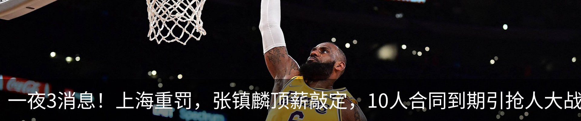 最新动态